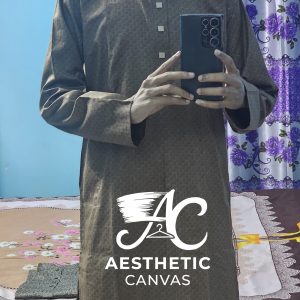 Aesthetic Canvas Panjabi DP-6